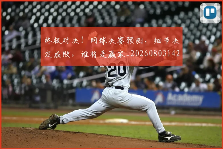 终极对决!网球决赛预测,细节决定成败,谁将是赢家_20260803142500